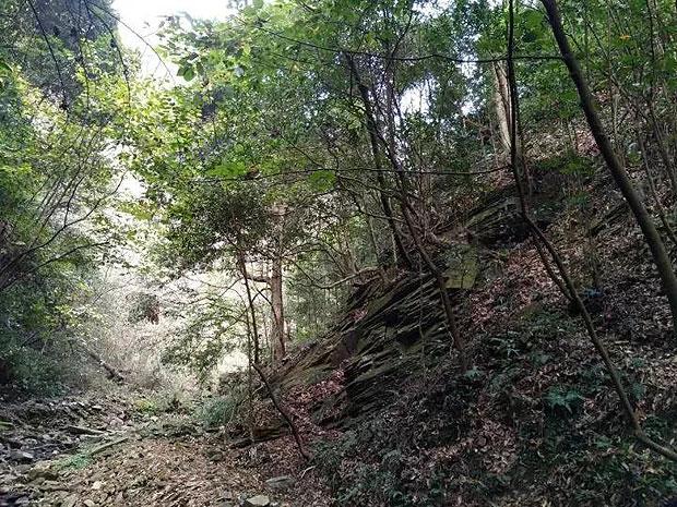 逃出美丽度假胜地